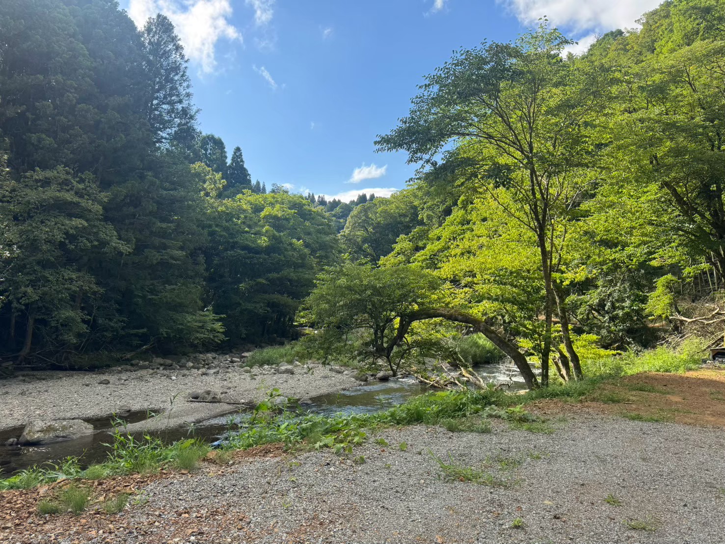 青空とAサイトの川