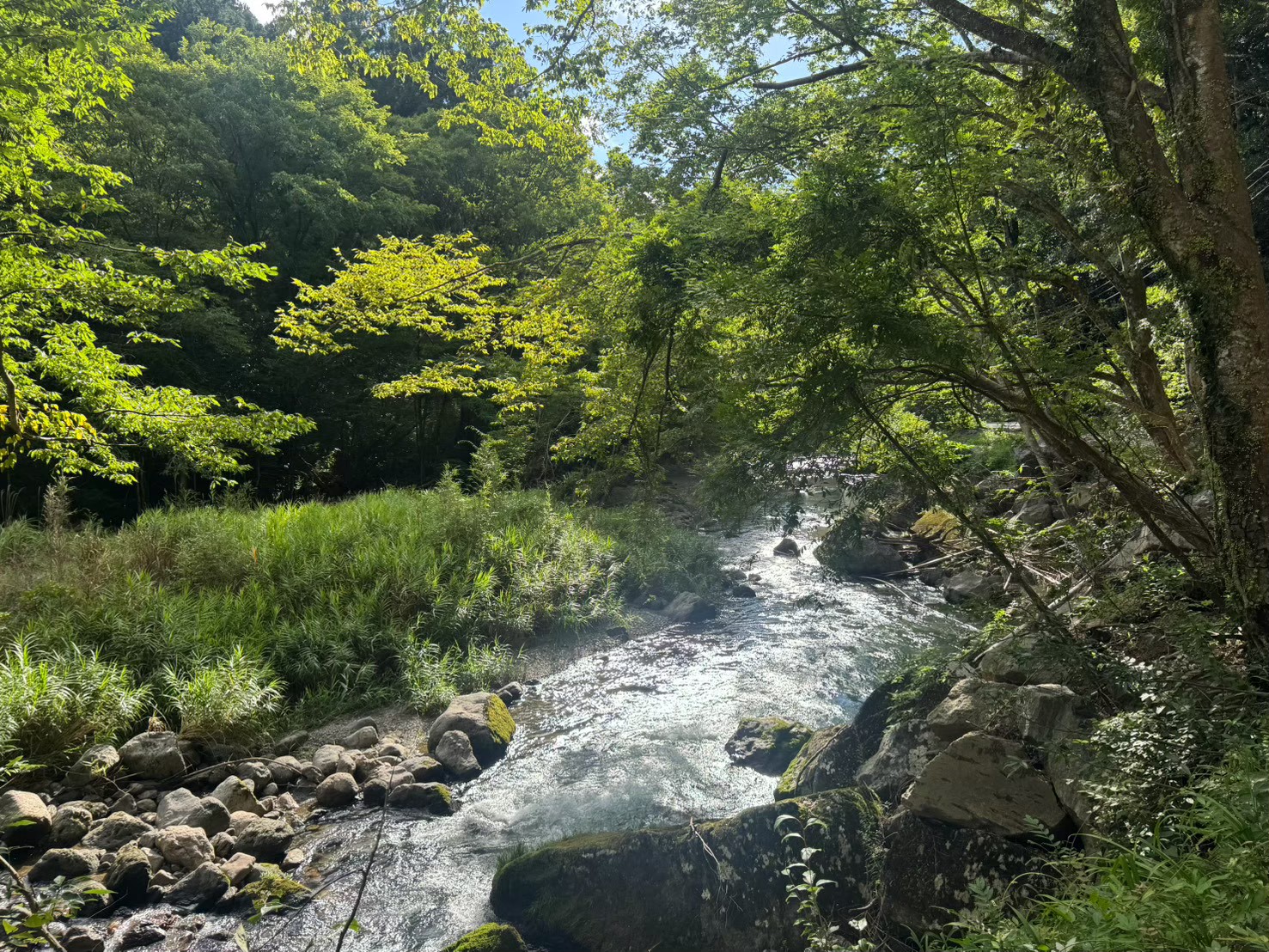 Aサイトの清流